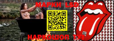 СК Пугачёв