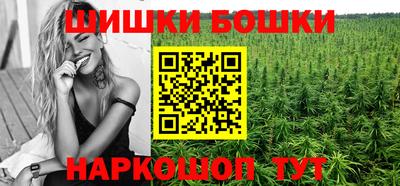 СК Пугачёв